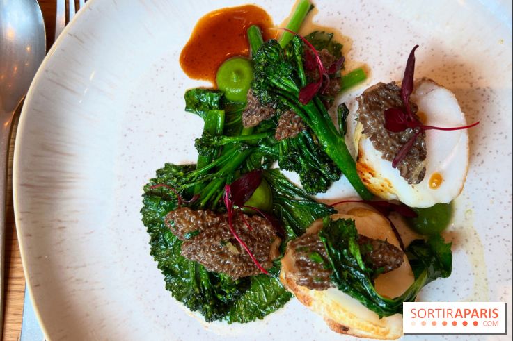 Colvert - Lotte au binchotan, morilles