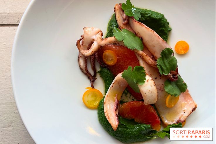 Sauvage - Encornets, agrumes, herbes