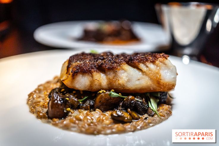 Monsieur Claude, le restaurant par Danny Khezzar à Rueil dans le 92 - LE LIEU JAUNE AU FEU DE BOIS Lieu jaune grillé au Binchotan, laquage nippon, risotto de petit épautre, mascarpone fumée, edamamé, radis daikon et saké