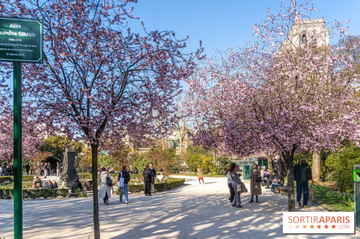 Le Square Viviani devant Notre-Dame de Paris