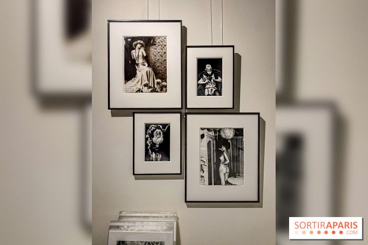 Exposition Irina Ionesco aux galeries Rachel Hardouin et La Lison