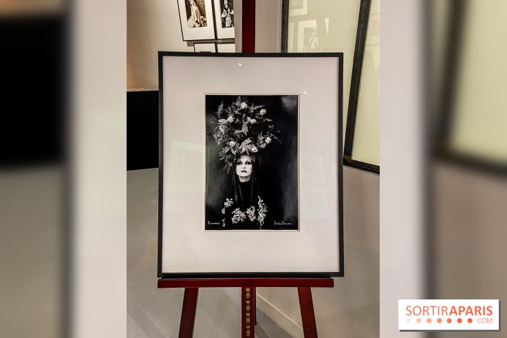 Exposition Irina Ionesco aux galeries Rachel Hardouin et La Lison