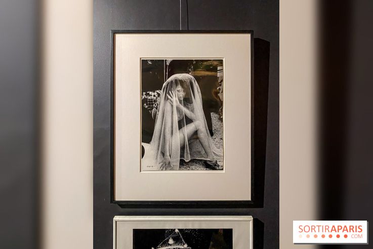Exposition Irina Ionesco aux galeries Rachel Hardouin et La Lison