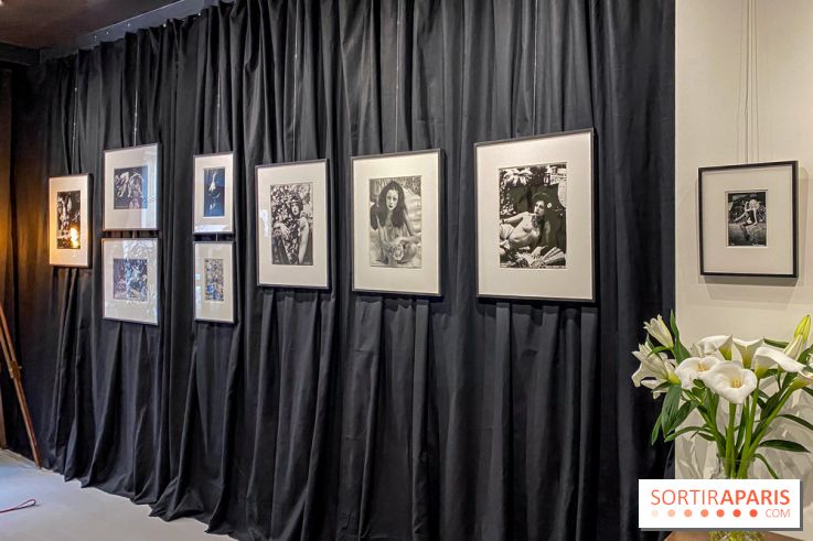 Exposition Irina Ionesco aux galeries Rachel Hardouin et La Lison