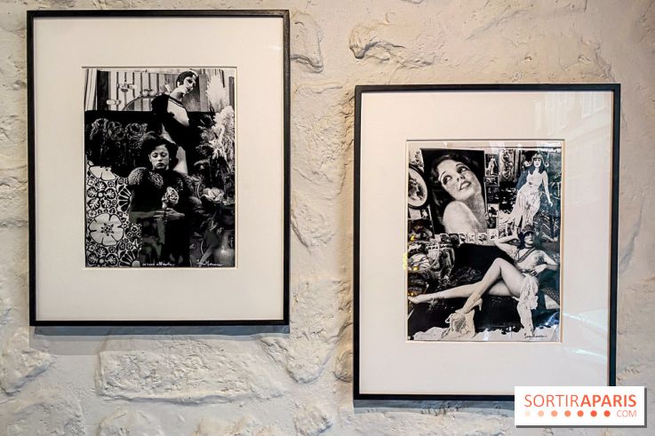 Exposition Irina Ionesco aux galeries Rachel Hardouin et La Lison