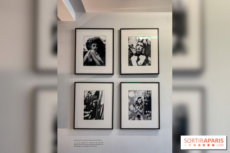 Exposition Irina Ionesco aux galeries Rachel Hardouin et La Lison