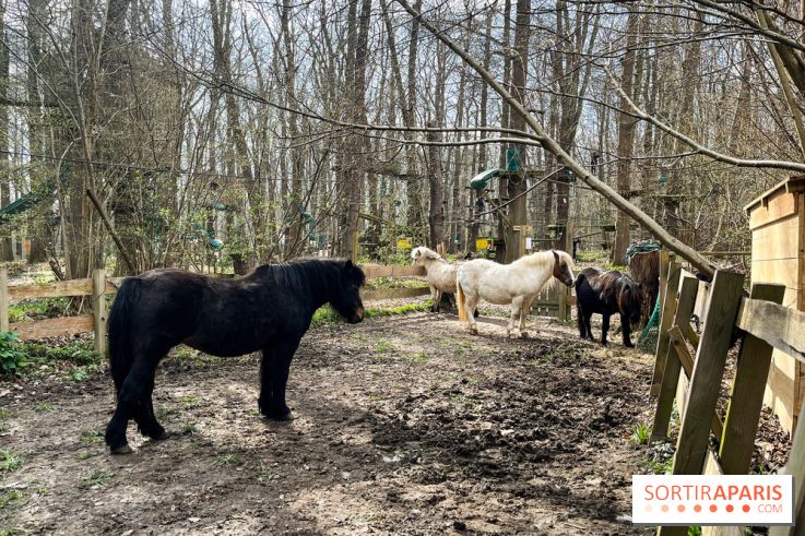 Sherwood Parc 2025 - nos photos - image00018