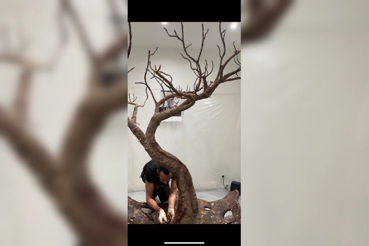 Printemps Canopee Kristaline - CANOPEE LARMES 6  GAEL CLAVIERE @DR