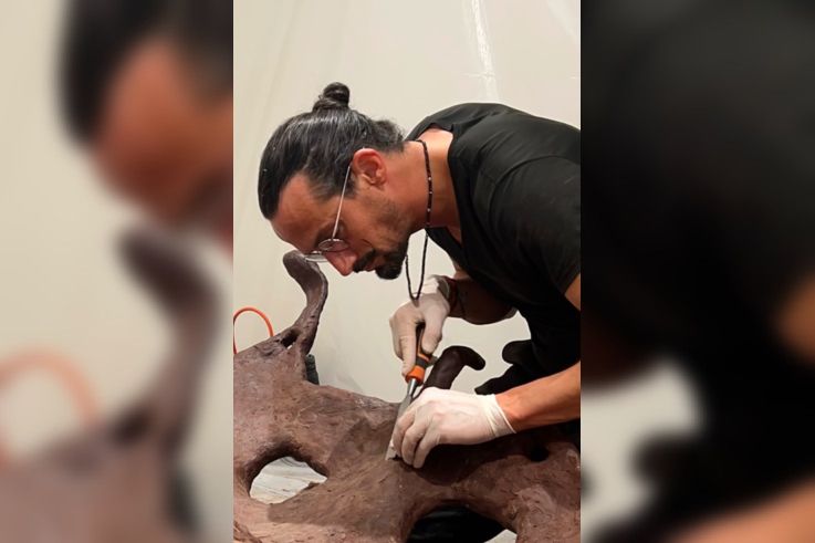 Printemps Canopee Kristaline - CANOPEE LARMES 7  GAEL CLAVIERE @DR