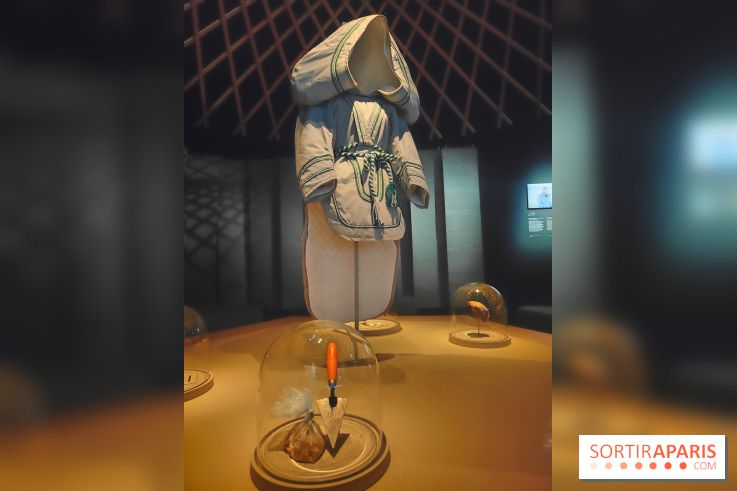 Déserts : l'exposition scientifique se dévoile au Muséum d'Histoire naturelle de Paris
