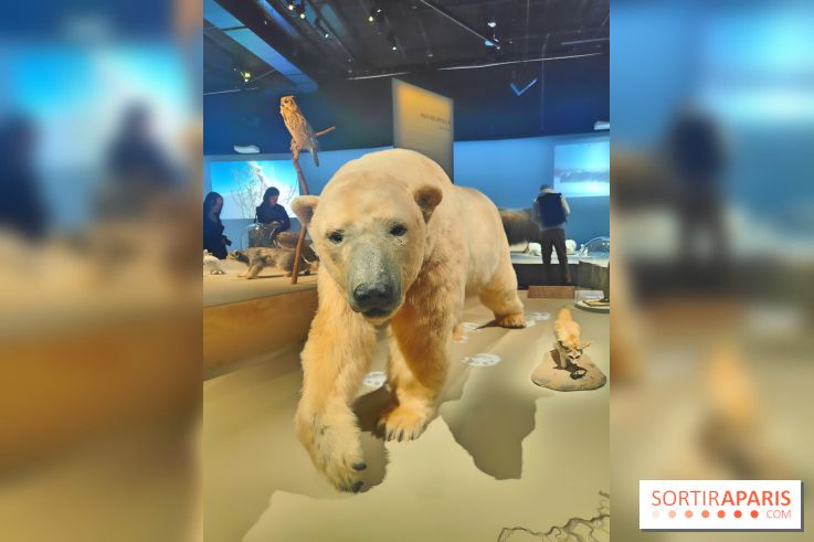 Déserts : l'exposition scientifique se dévoile au Muséum d'Histoire naturelle de Paris