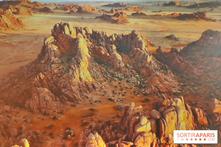 Déserts : l'exposition scientifique se dévoile au Muséum d'Histoire naturelle de Paris