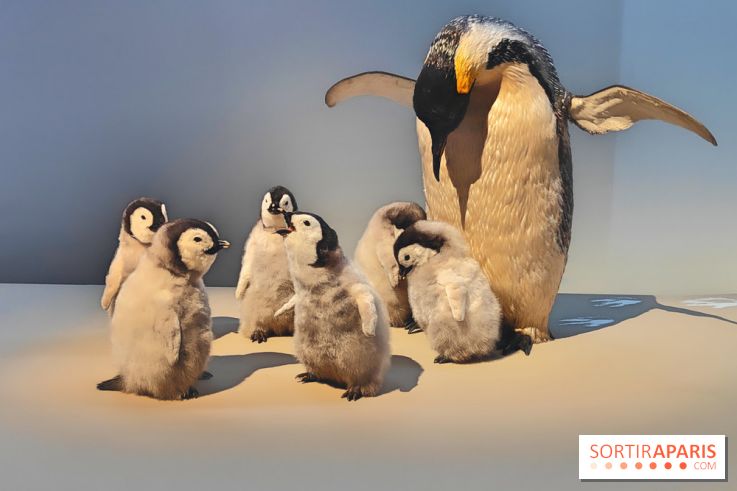 Déserts : l'exposition scientifique se dévoile au Muséum d'Histoire naturelle de Paris - fotor 1743502115937