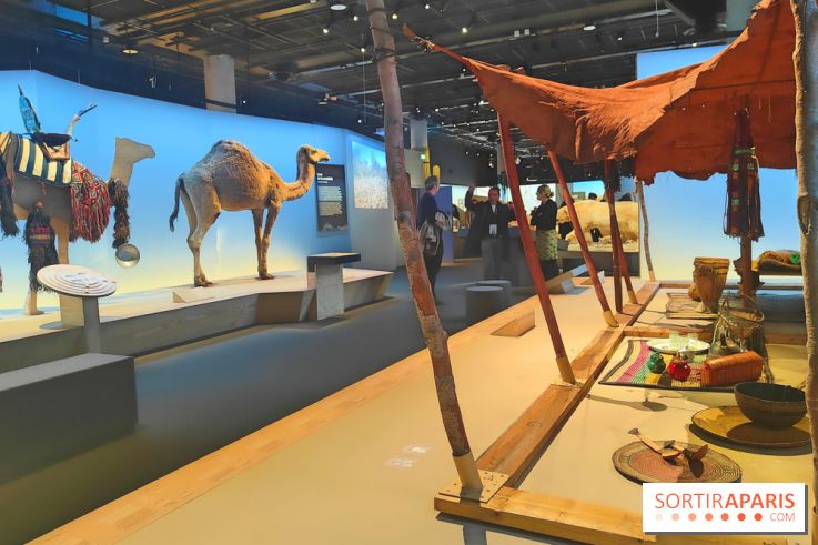 Déserts : l'exposition scientifique se dévoile au Muséum d'Histoire naturelle de Paris