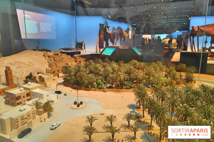 Déserts : l'exposition scientifique se dévoile au Muséum d'Histoire naturelle de Paris - fotor 1743501930535