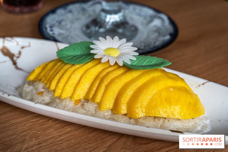 Buja restaurant végétarien thaï et Viet Paris 13e - photos - Mango sticky rice