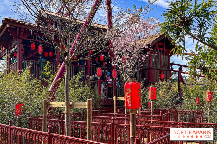 Le Défi du Dragon : la nouvelle attraction à sensations fortes du Jardin d'Acclimatation - image00094