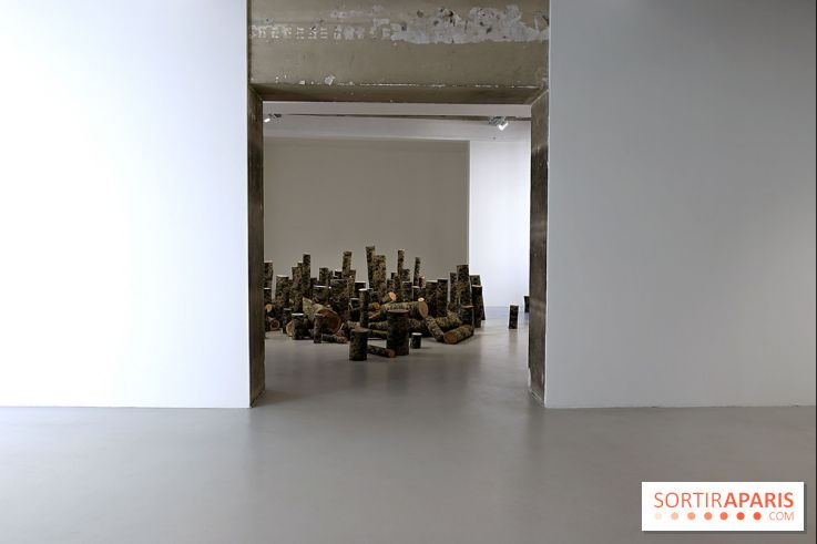 Osvaldo González et Zhanna Kadyrova à la Galleria Continua, nos photos - Galleria Continua 4