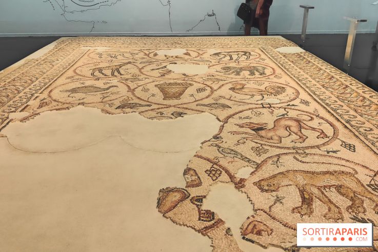 Trésors sauvés de Gaza : l'histoire de Gaza exposée à travers des vestiges archéologiques à l'IMA  - fotor 1743592302918