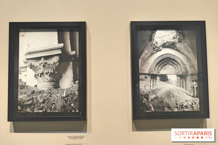 Trésors sauvés de Gaza : l'histoire de Gaza exposée à travers des vestiges archéologiques à l'IMA  - fotor 1743592118344