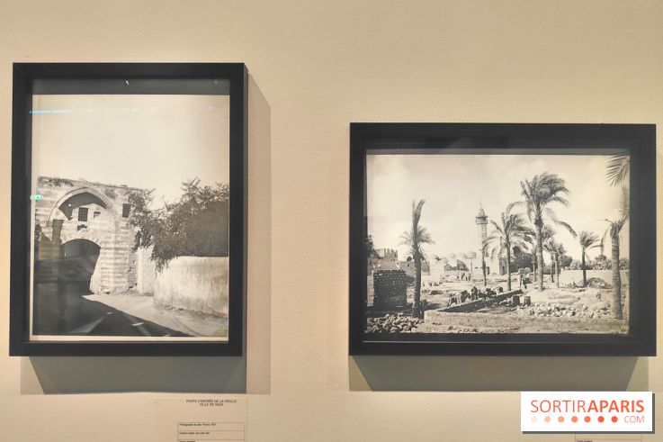 Trésors sauvés de Gaza : l'histoire de Gaza exposée à travers des vestiges archéologiques à l'IMA  - fotor 1743592106883