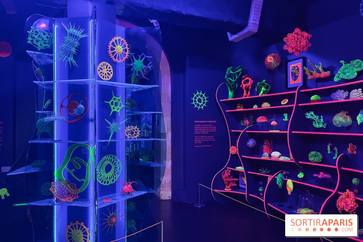 Digital Abysses au musée en Herbe - nos photos - 5E840A8C 6B0E 4F9C A75C 355062E1DA7E