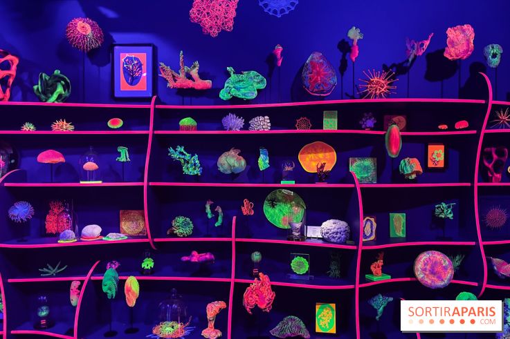 Digital Abysses au musée en Herbe - nos photos - 0129F15A 5778 46C1 BB45 E8B6ED6C3104