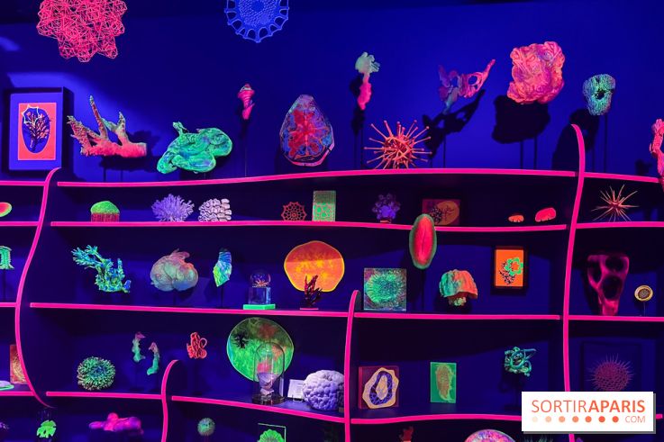 Digital Abysses au musée en Herbe - nos photos - 15690B68 4949 4539 BC96 936B6E5F3B2B