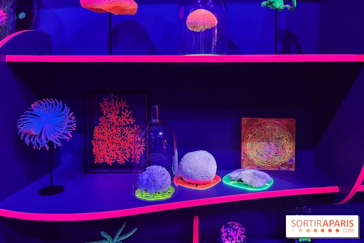 Digital Abysses au musée en Herbe - nos photos - E6BCA310 565F 4759 9D61 097FAD60F57B