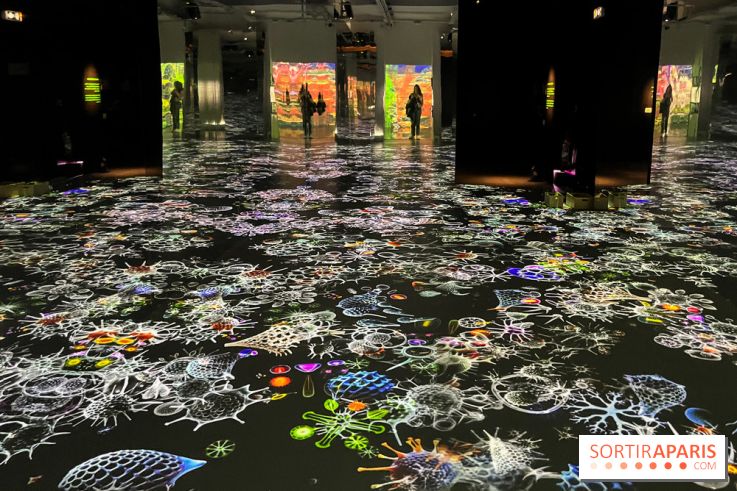 Digital Abysses au musée en Herbe - nos photos - 8D354893 F90B 490E A9BD 4ECA4B0114C8
