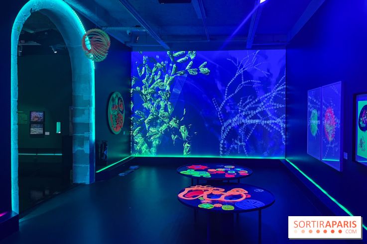 Digital Abysses au musée en Herbe - nos photos - 8F23999D 18C5 4CB3 8088 2779B3961DD3