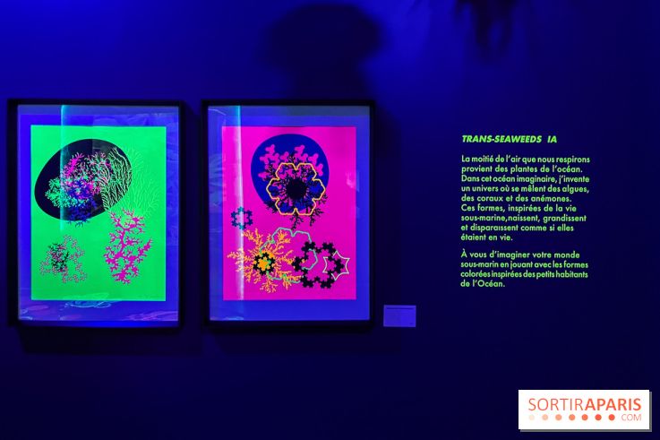 Digital Abysses au musée en Herbe - nos photos - 8163347A 53DC 4CE8 8C09 D2AA6F7C6E47