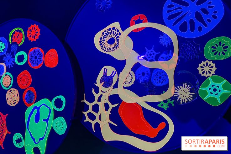 Digital Abysses au musée en Herbe - nos photos - 23C050E1 29AD 4602 97AF 05F2D4696EF9