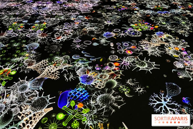 Digital Abysses au musée en Herbe - nos photos - 7E0115A3 377F 4561 B085 EA5755EE7777