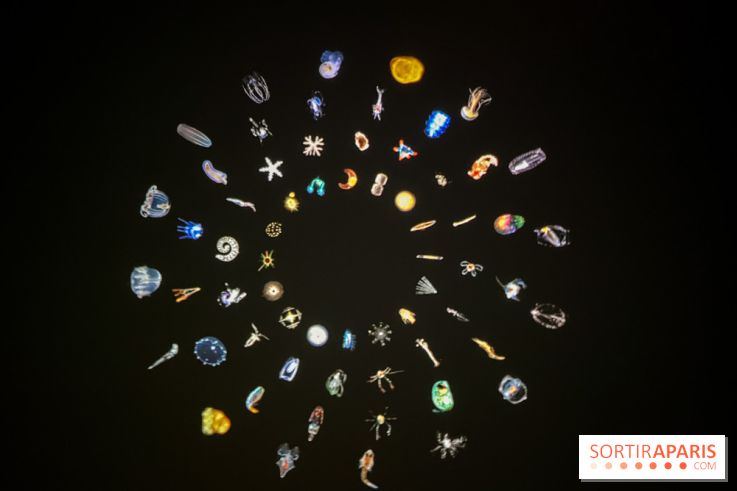 Digital Abysses au musée en Herbe - nos photos - 9ECF3129 95DF 4C74 9051 704E8027F710