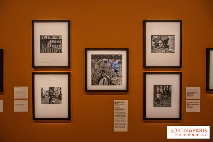 Exposition Le Paris d'Agnès Varda au Musée Carnavalet