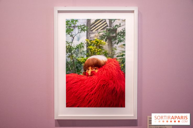 Exposition Le Paris d'Agnès Varda au Musée Carnavalet