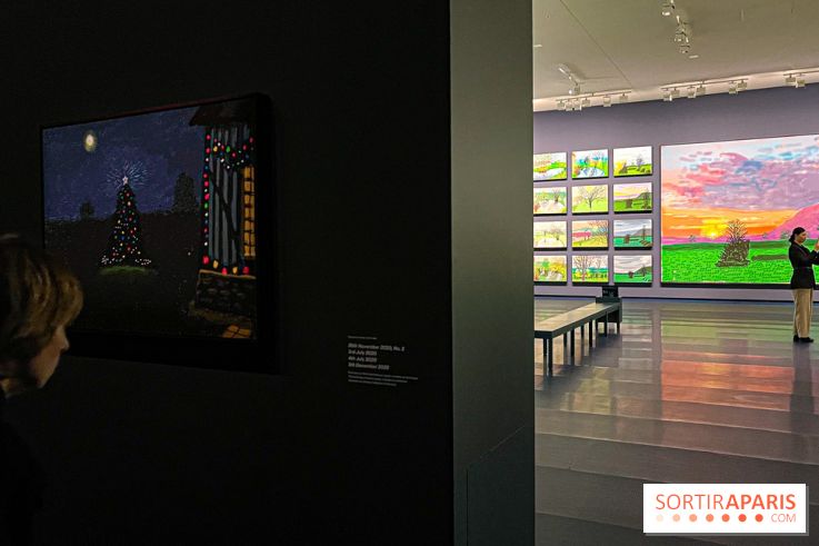 David Hockney : la plus grande exposition retrospective de l'artiste à la Fondation Louis Vuitton - IMG 8674 jpg