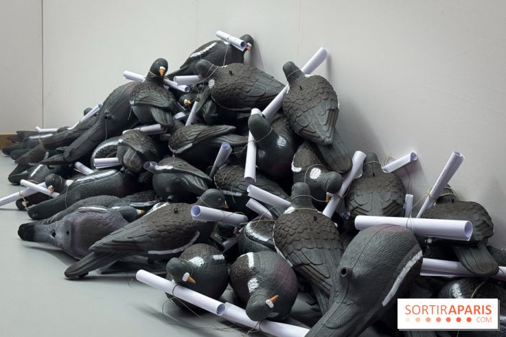 100% L'EXPO 2025 - IMG 2878