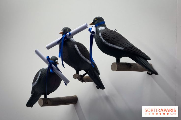 100% L'EXPO 2025 - IMG 2879