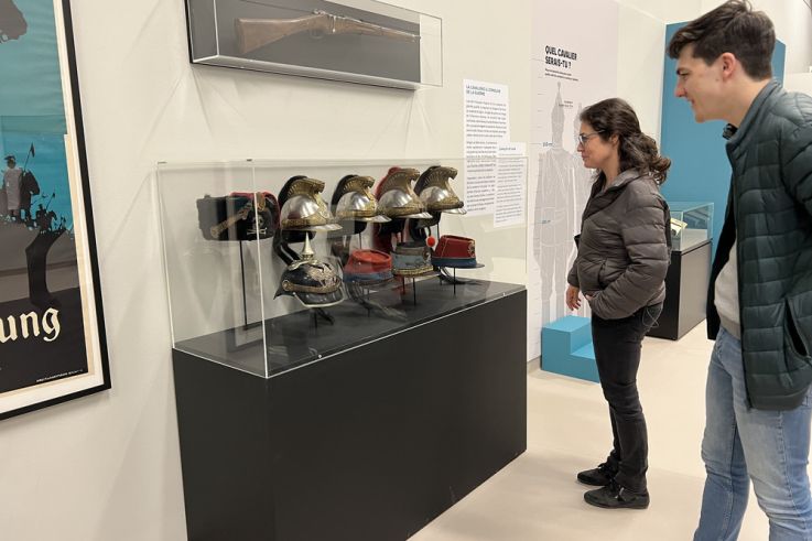 Des chevaux et des hommes au musée de la Grande Guerre de Meaux - IMG 1632