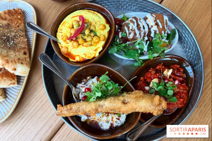 Amanie - Houmous, caviar d'aubergines, pain pita