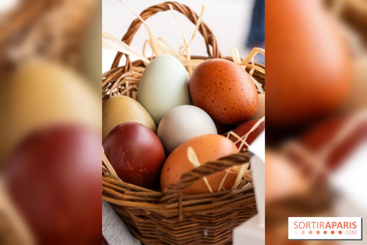 Les chocolats de Pâques 2025 de Pleincœur par Maxime Frédéric et family