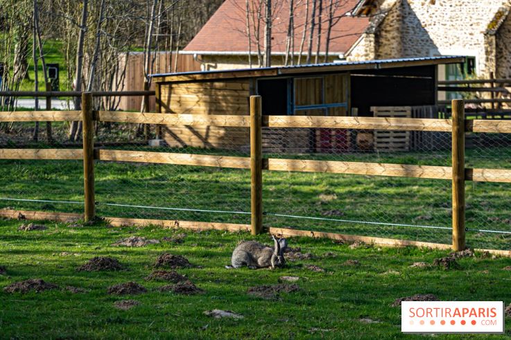 La Ferme de l’Abbaye des Vaux de Cernay : l'hôtel de charme en pleine nature dans les Yvelines - photos