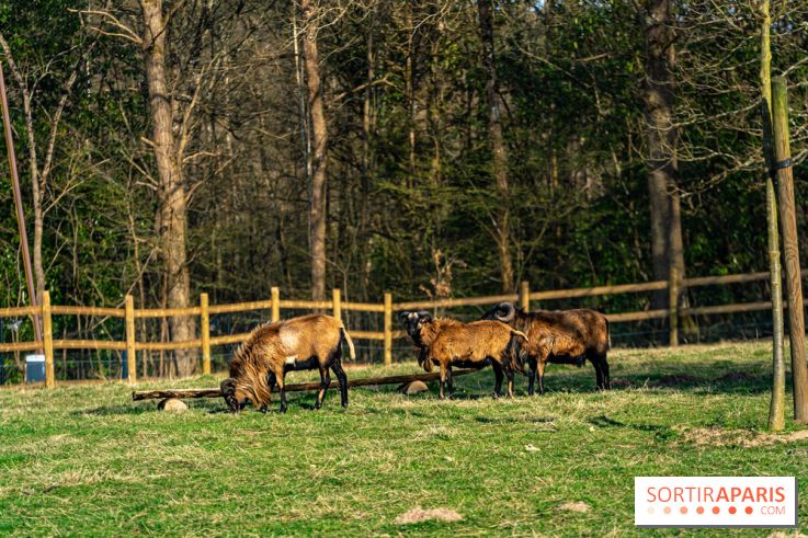 La Ferme de l’Abbaye des Vaux de Cernay : l'hôtel de charme en pleine nature dans les Yvelines - photos