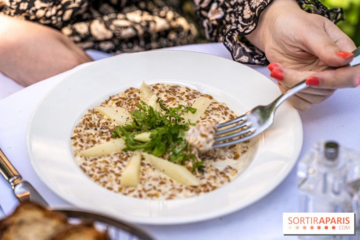 Terrasse de l'Hôtel Particulier, le jardin verdoyant au cœur de Montmartre - photo - A7C06432