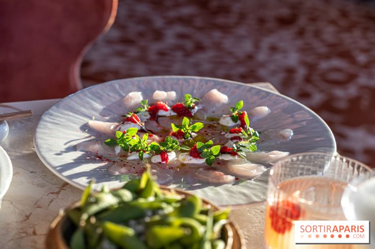 Kinugawa Rive Gauche à Paris, le restaurant en rooftop de l'Hôtel Sax - photos