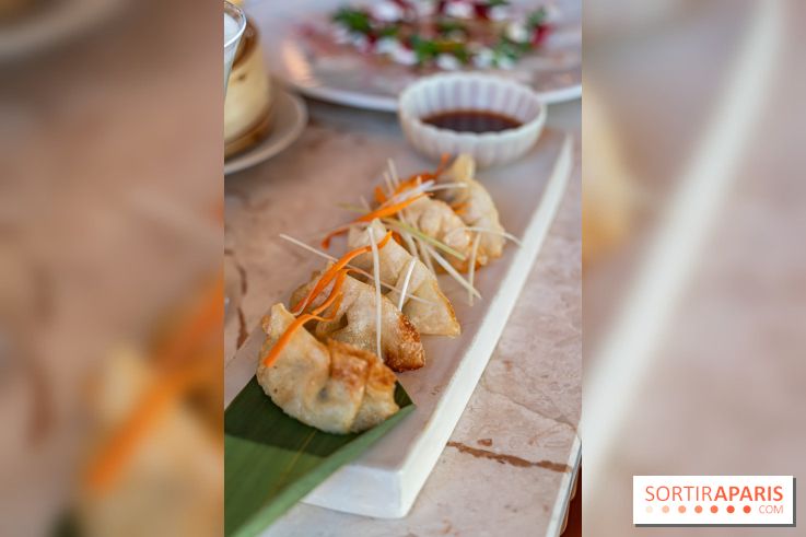 Kinugawa Rive Gauche à Paris, le restaurant en rooftop de l'Hôtel Sax - photos