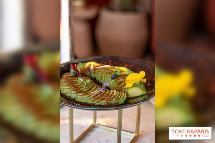 Kinugawa Rive Gauche à Paris, le restaurant en rooftop de l'Hôtel Sax - photos