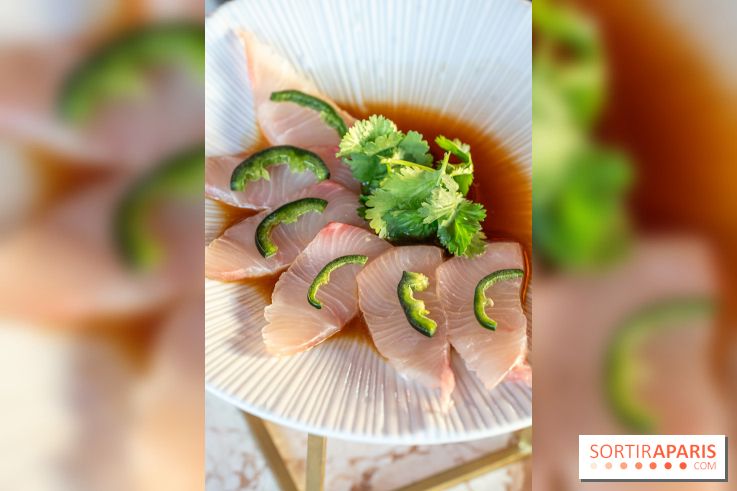 Kinugawa Rive Gauche à Paris, le restaurant en rooftop de l'Hôtel Sax - photos